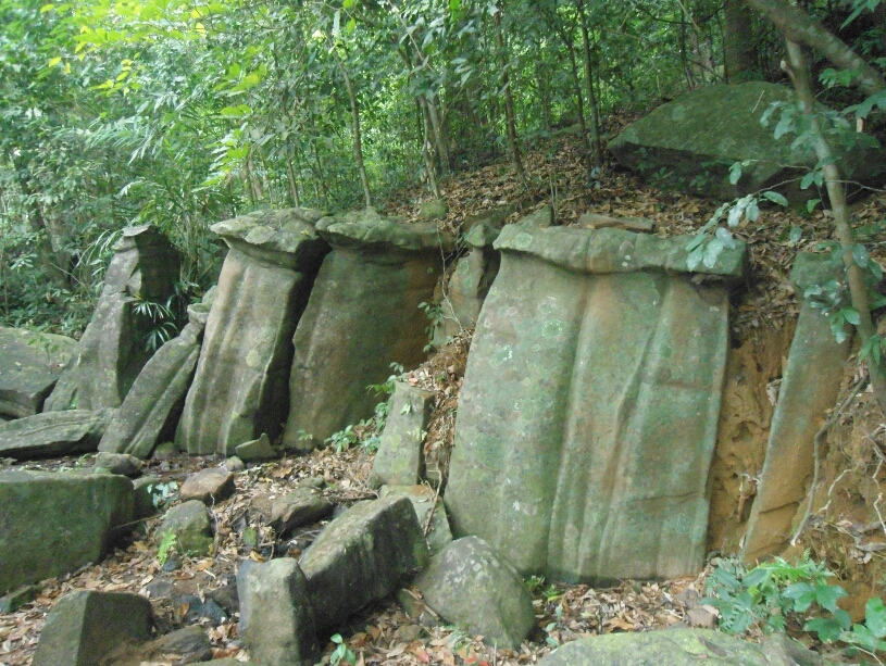 ಮಾರ್ದೋಮ್ ರಕ್ಷಿತಾರಣ್ಯದಲ್ಲಿ ಬ್ರಾಹ್ಮಿ ಲಿಪಿ ಶಿಲೆಪತ್ತೆ